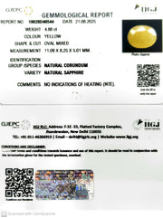 4.88/CT Natural Yellow Sapphire With Govt Lab Certificate (1221)